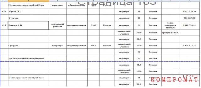 Декларации Есипова с разницей в год