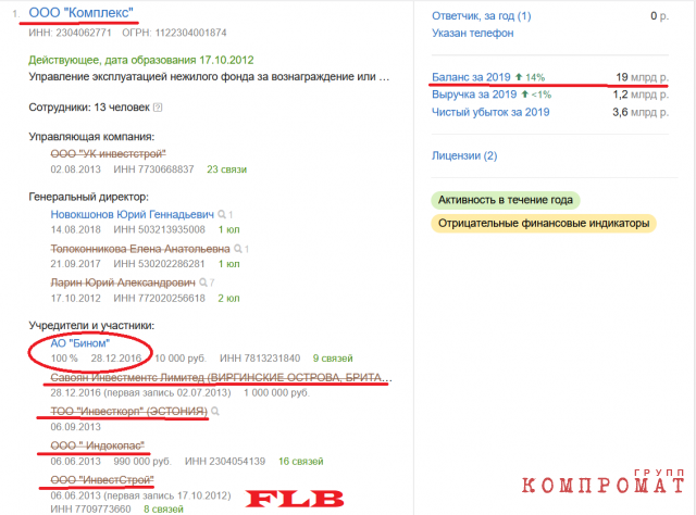 Бухгалтерский баланс ООО «Комплекс», единственным учредителем которого АО «Бином»