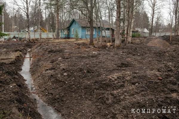 Дачный участок Вячеслава Макарова перед строительством