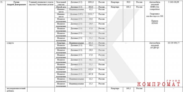 Выписка из сведений о доходах Андрея Гогина и его супруги за 2021 год