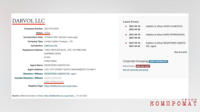 Американский бизнес Дарьи Спиридоновой легко находится в иностранных бизнес-реестрах