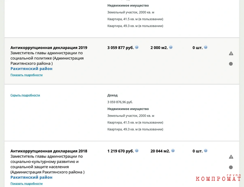 Так выглядели декларации Чефоновой в 2018–2019 годах